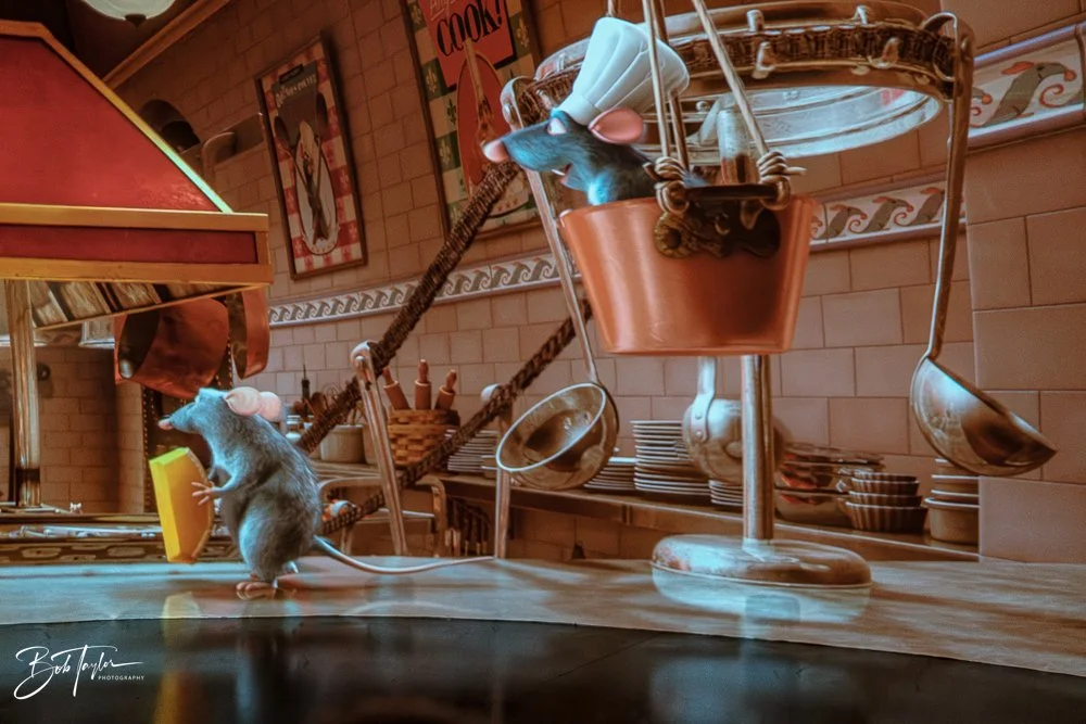 20260126-EPCOT All -111.jpg