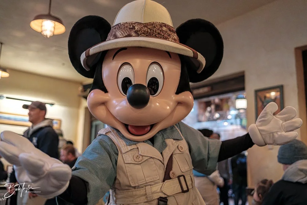 20260127-Animal Kingdom All -20.jpg