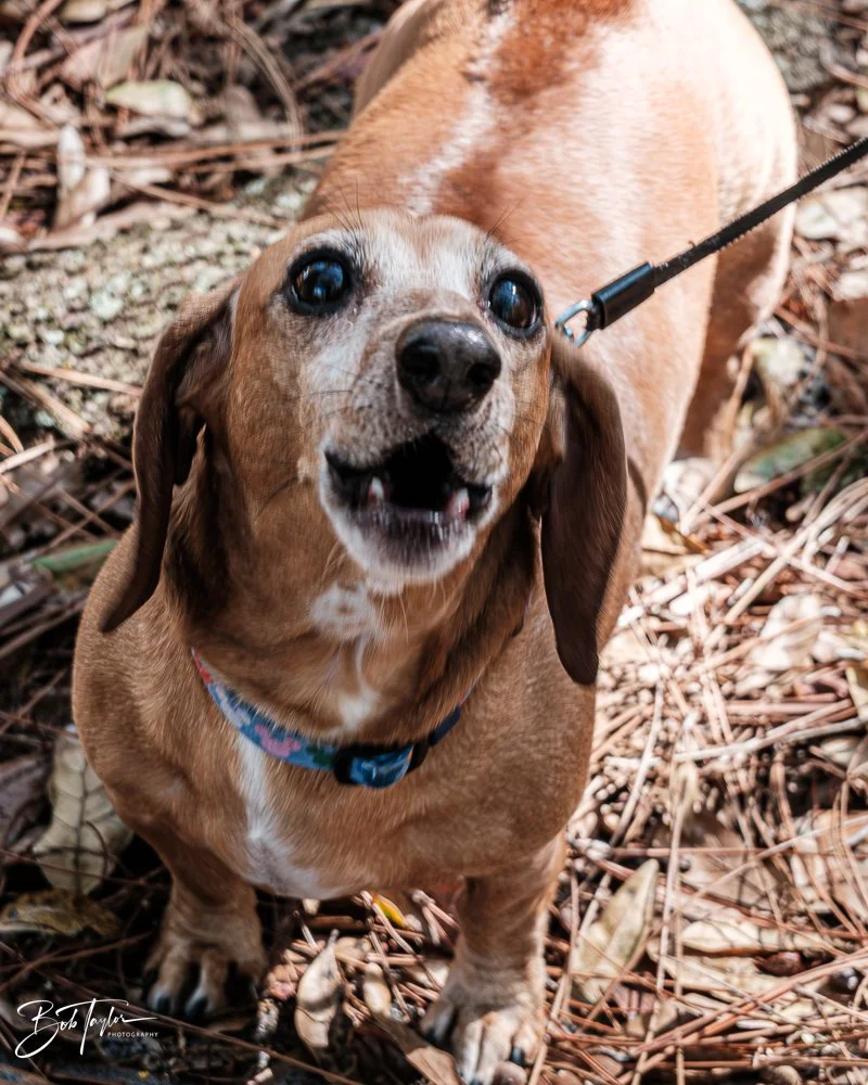 20260130-Fort Wilderness -4.jpg