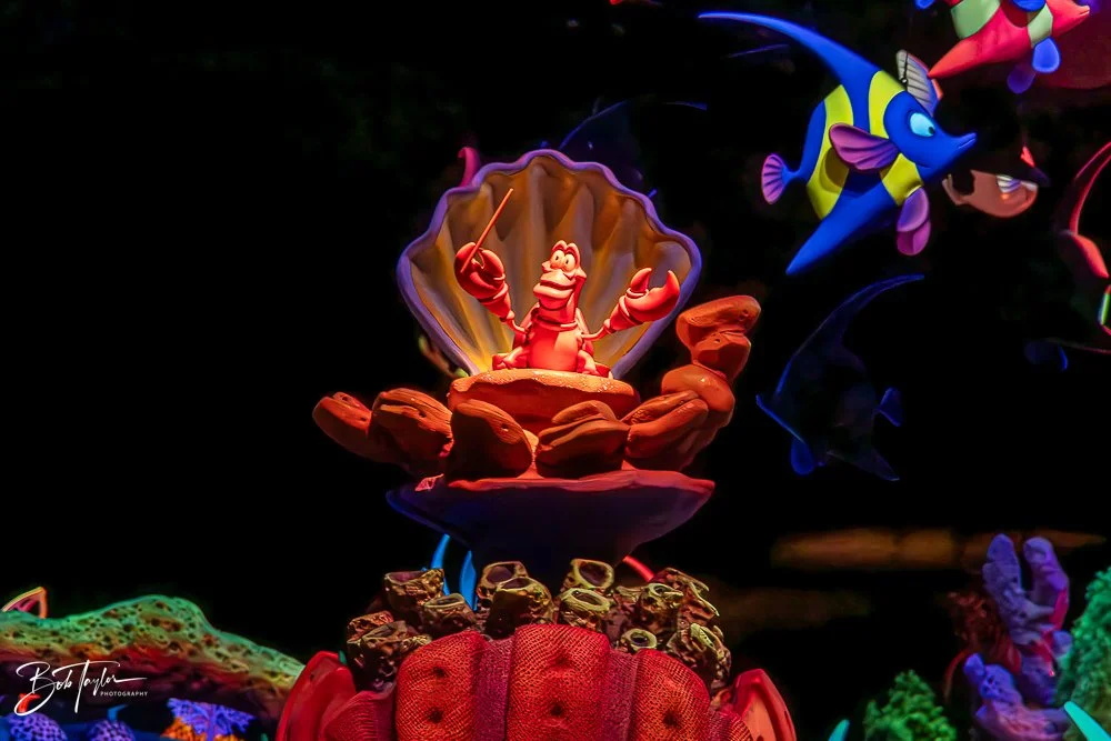 20260128-Magic Kingdom All -210.jpg