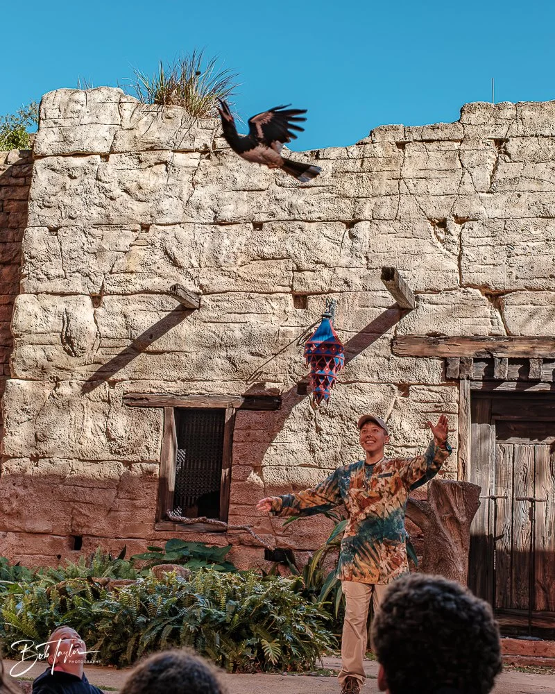 20260127-Animal Kingdom All -25.jpg