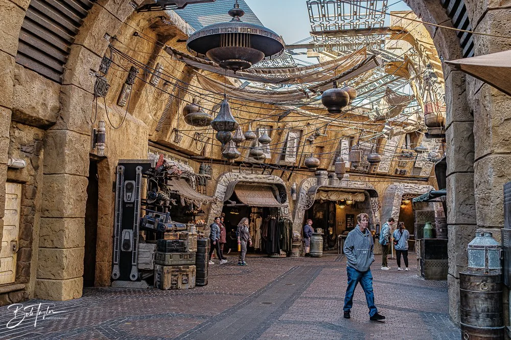 20260129-Hollywood Studios All -53.jpg