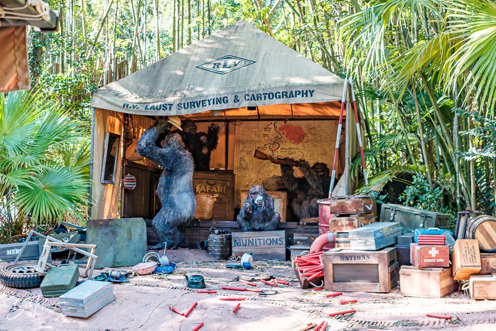 20260128-Magic Kingdom All -95.jpg