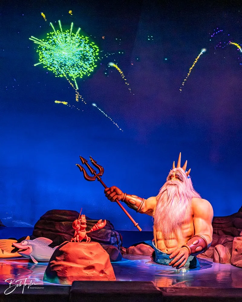 20260128-Magic Kingdom All -225.jpg