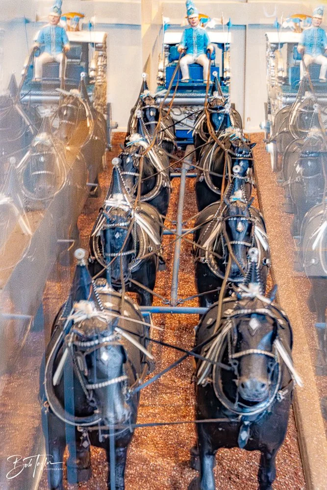 20260131-Fort Wilderness -36.jpg