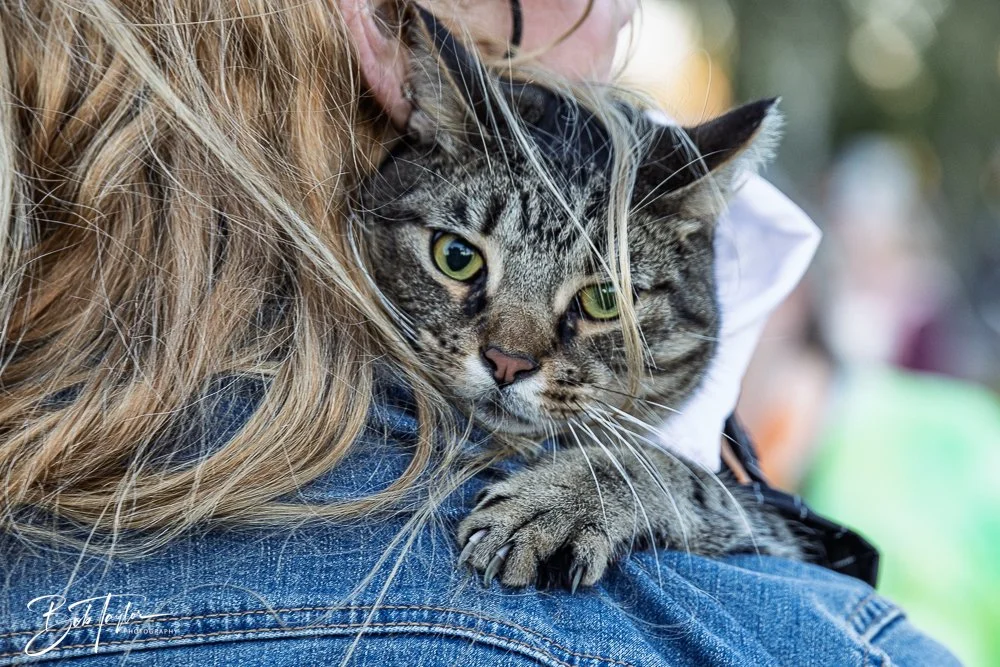 20260206-Mardi Gras Kids -39.jpg