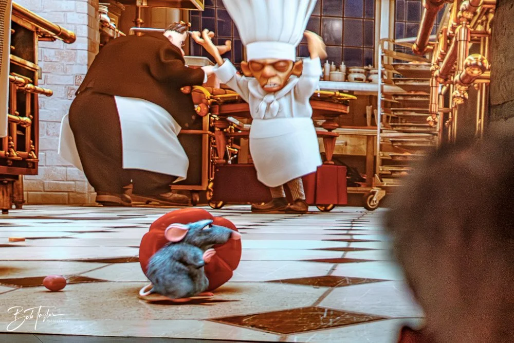 20260126-EPCOT All -110.jpg