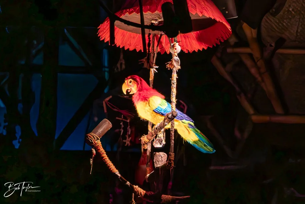 20260128-Magic Kingdom All -86.jpg