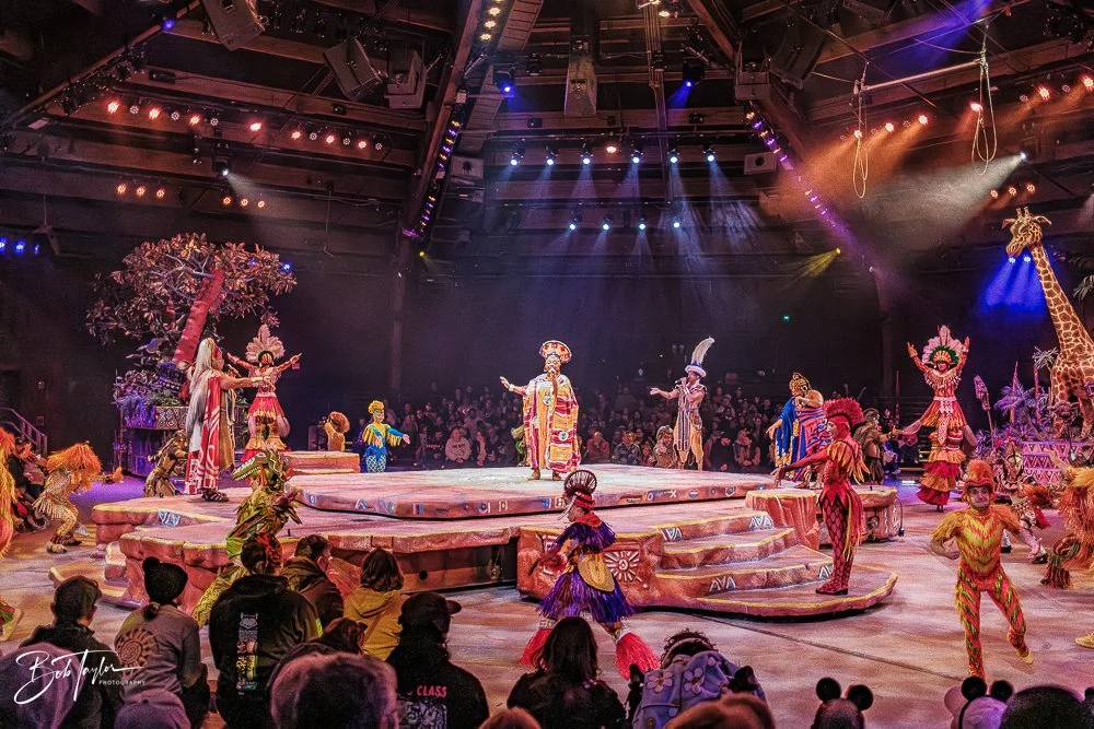 20260127-Animal Kingdom All -150.jpg