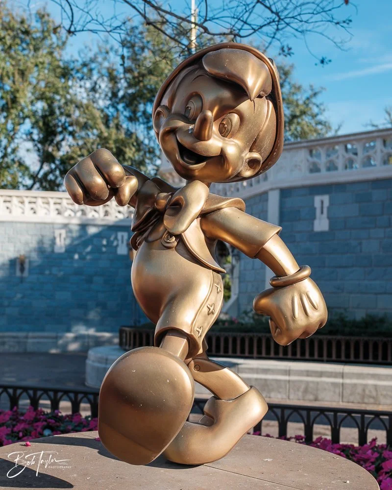 20260128-Magic Kingdom All -34.jpg