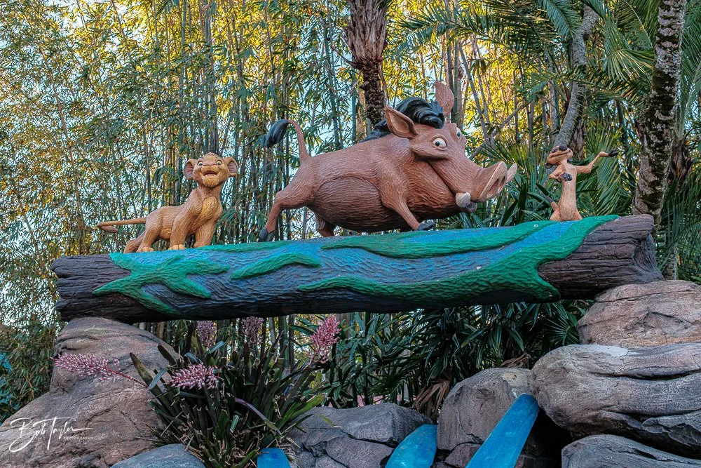 20260127-Animal Kingdom All -7.jpg