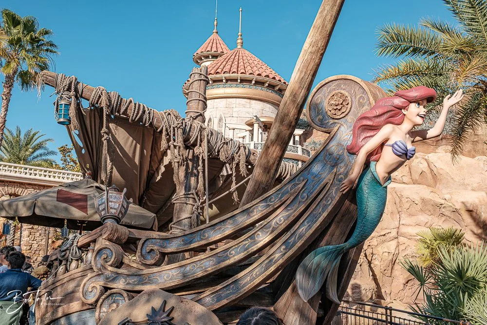 20260128-Magic Kingdom All -226.jpg