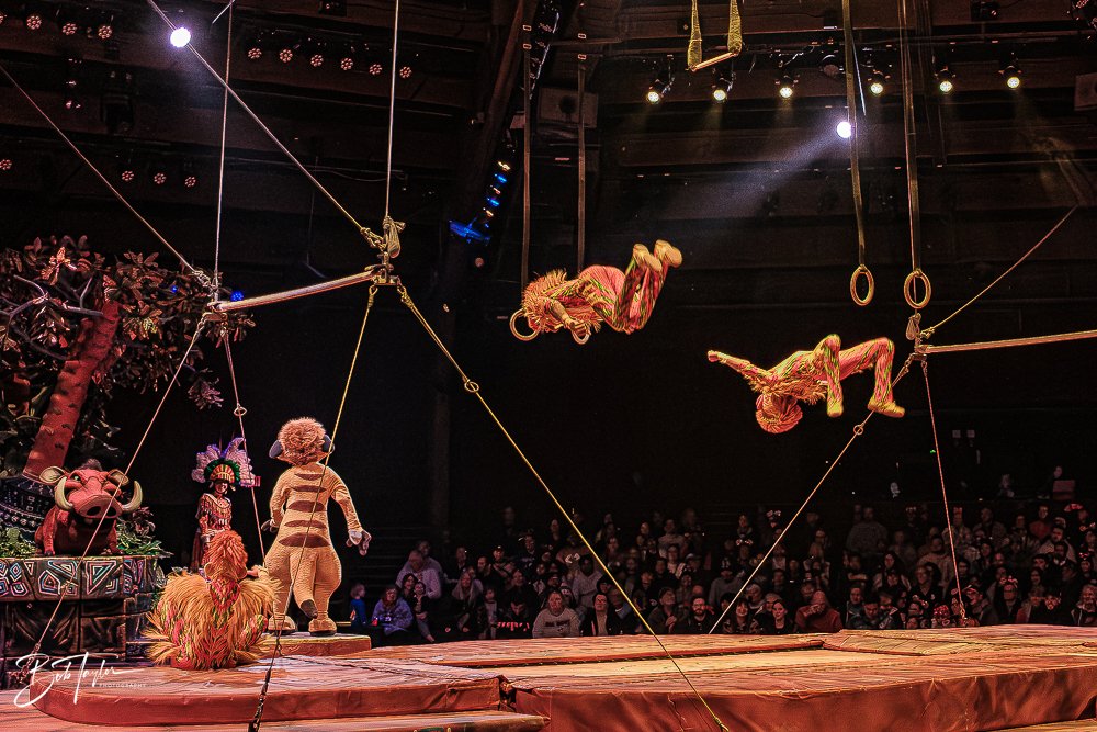 20260127-Animal Kingdom All -140.jpg