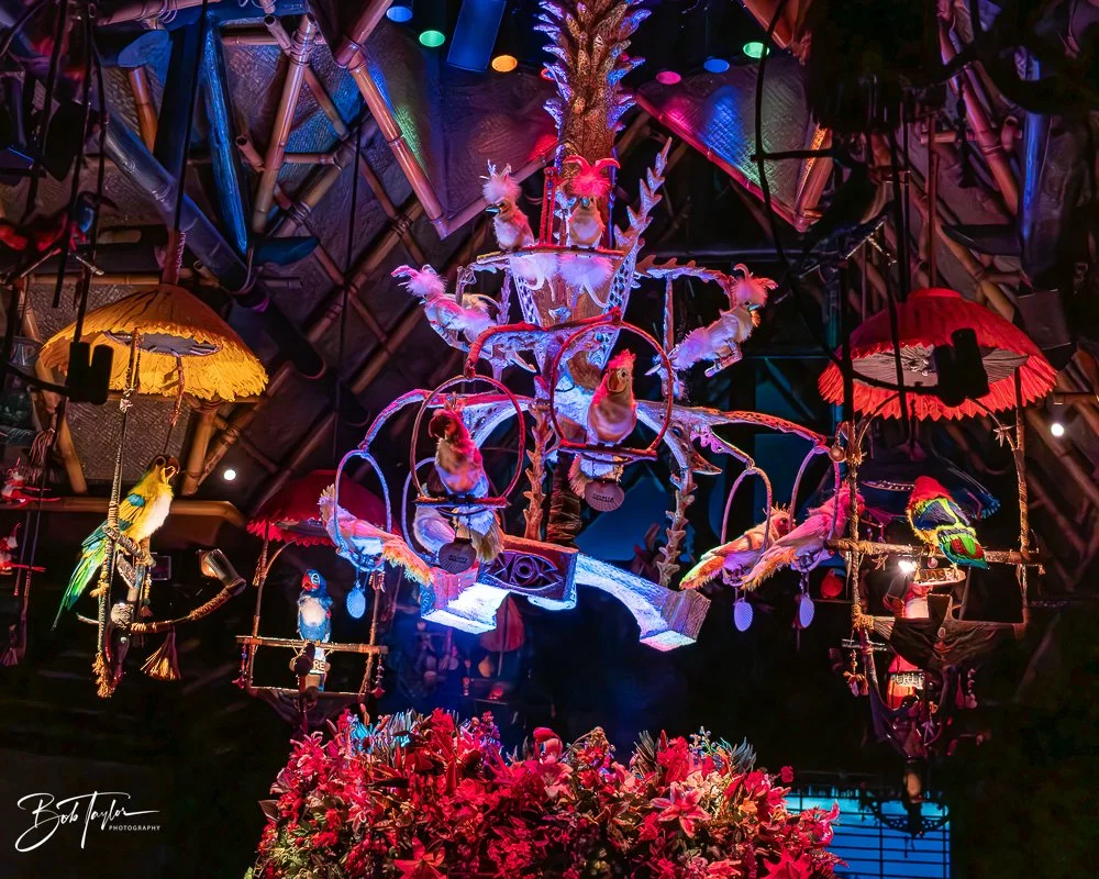 20260128-Magic Kingdom All -89.jpg