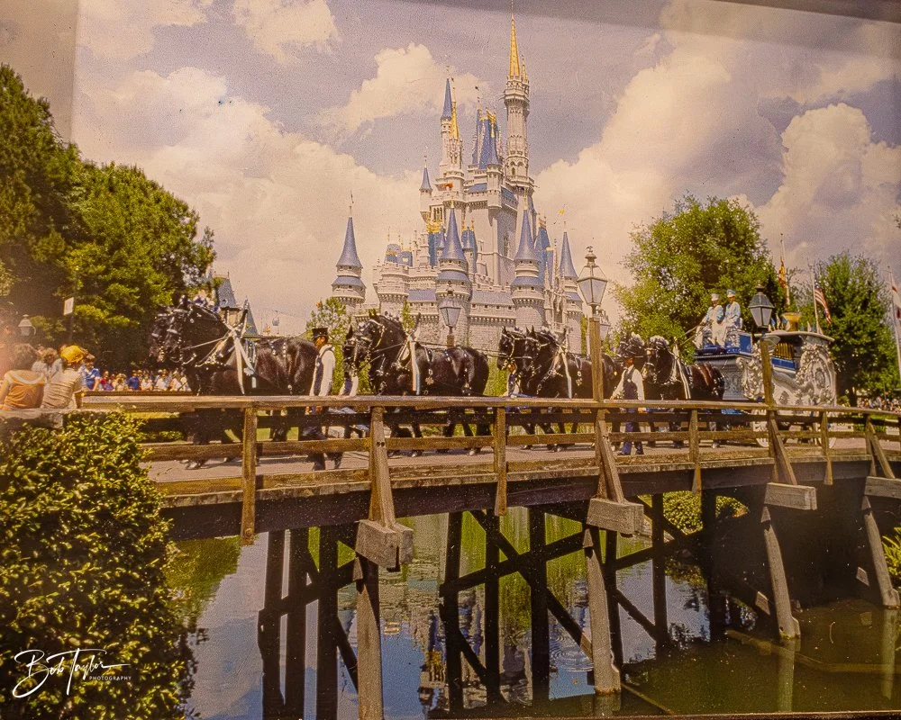 20260131-Fort Wilderness -33.jpg