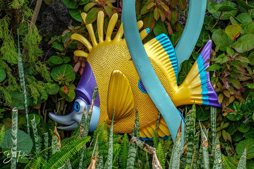 20260126-EPCOT All -30.jpg