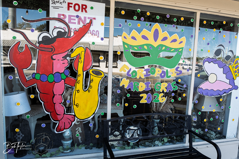 20260115-Mardi Gras Windows -81.png