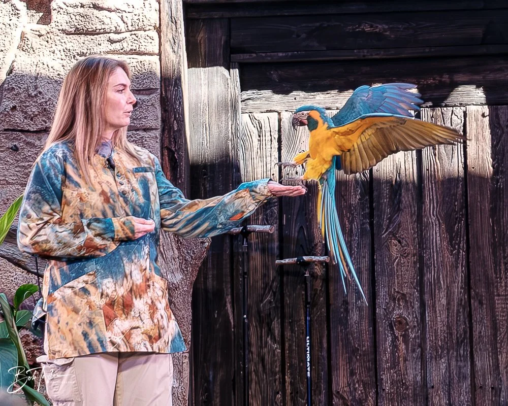 20260127-Animal Kingdom All -49.jpg