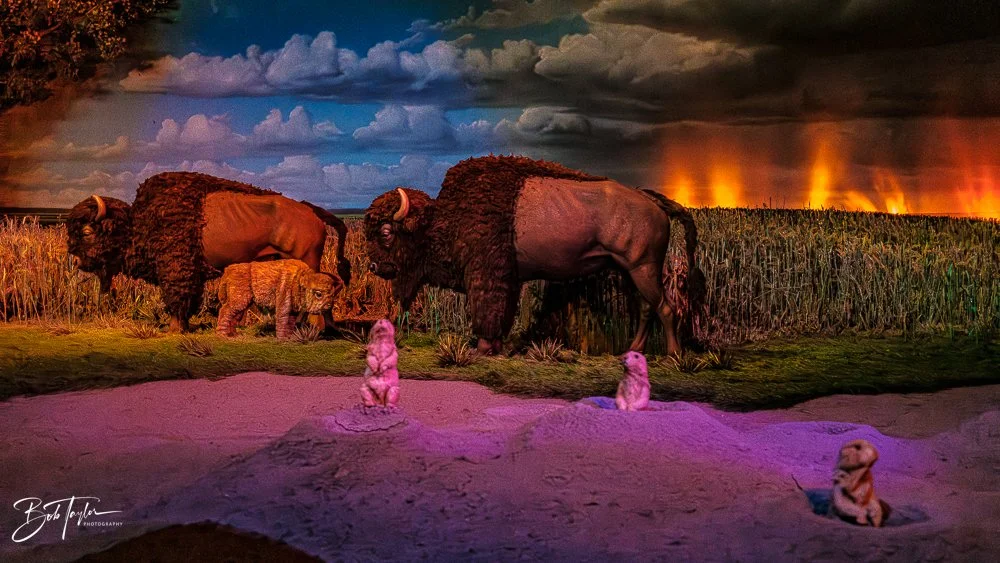 20260126-EPCOT All -35.jpg