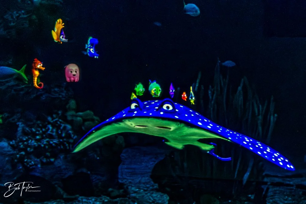 20260126-EPCOT All -48.jpg