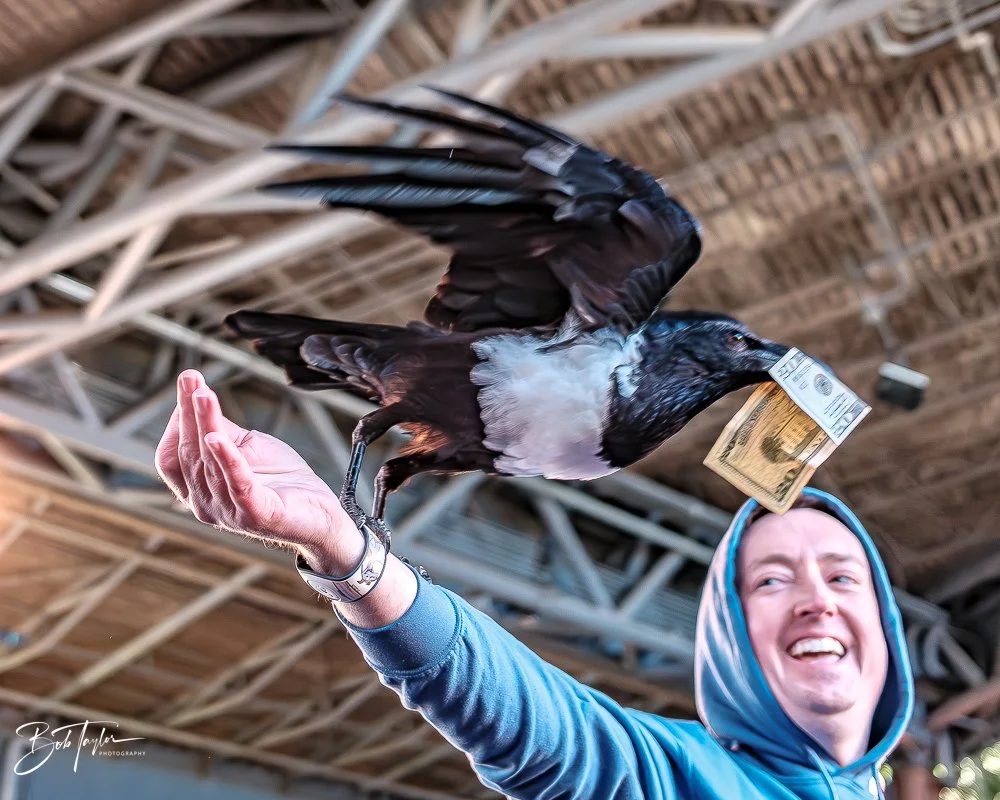 20260127-Animal Kingdom All -29.jpg