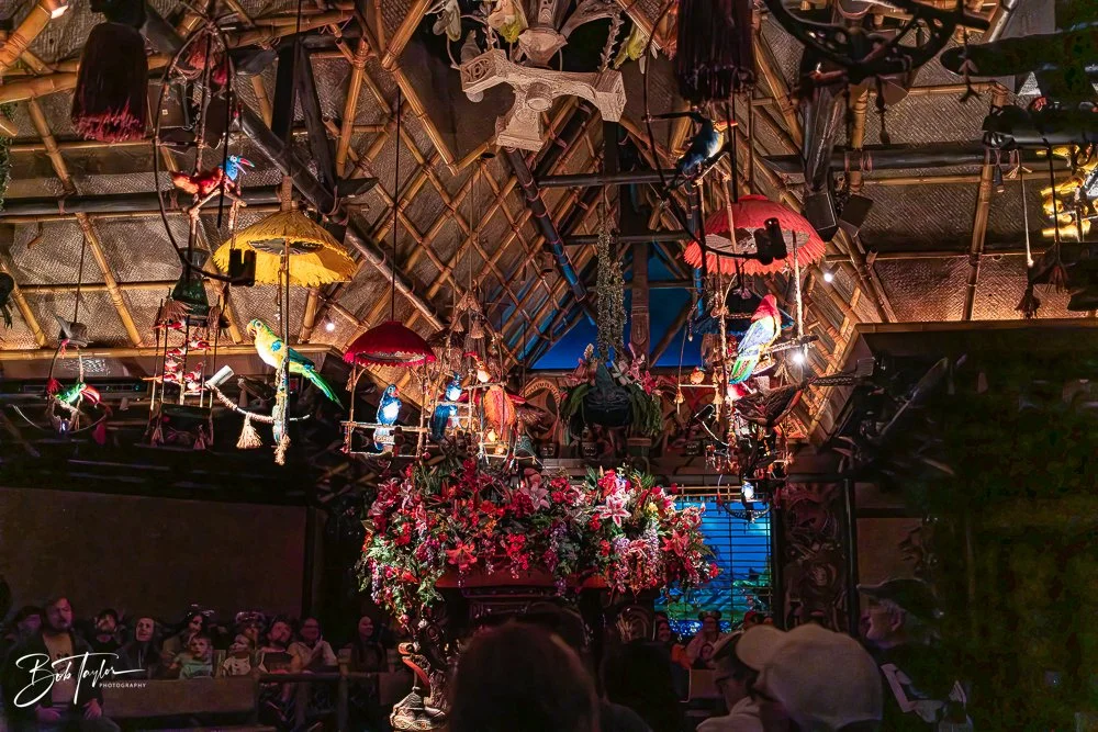 20260128-Magic Kingdom All -87.jpg