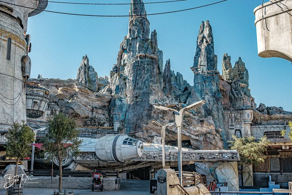 20260129-Hollywood Studios All -50.jpg