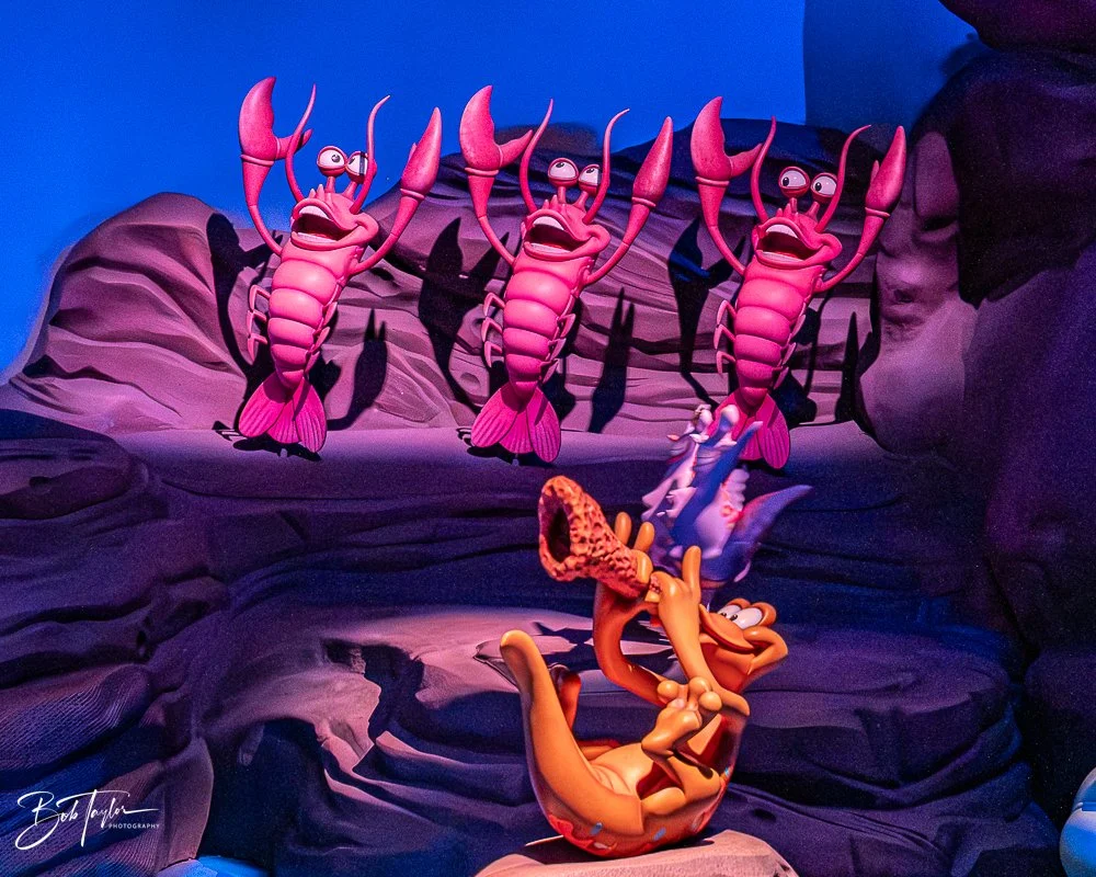 20260128-Magic Kingdom All -223.jpg