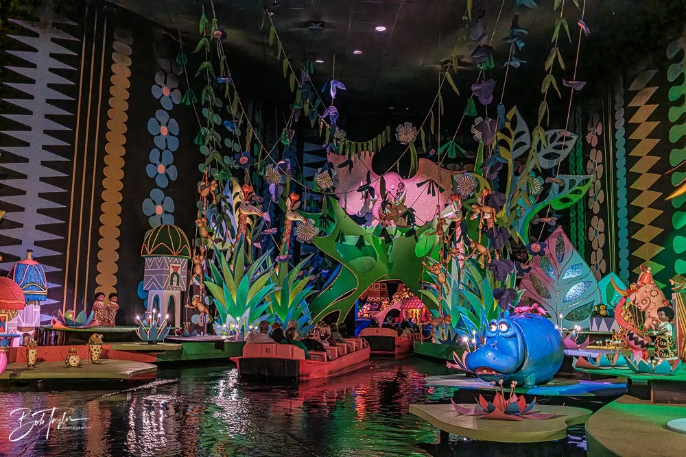 20260128-Magic Kingdom All -44.jpg