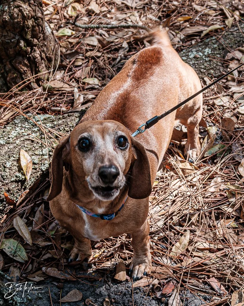 20260130-Fort Wilderness -3.jpg