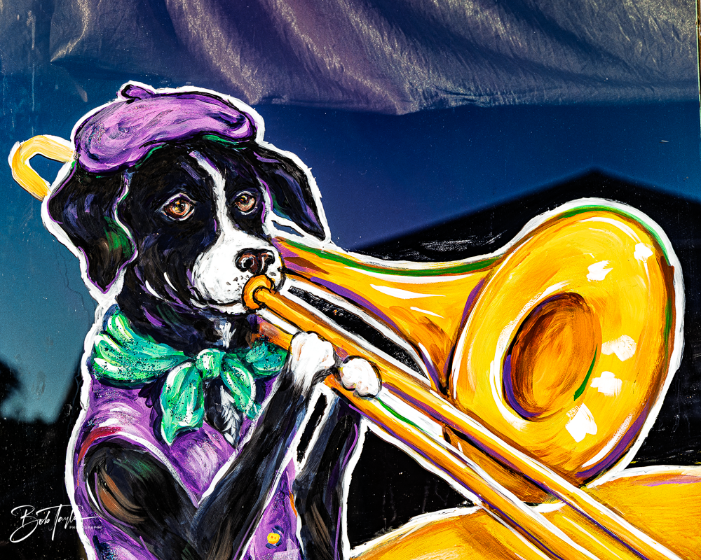 20260115-Mardi Gras Windows -24.png