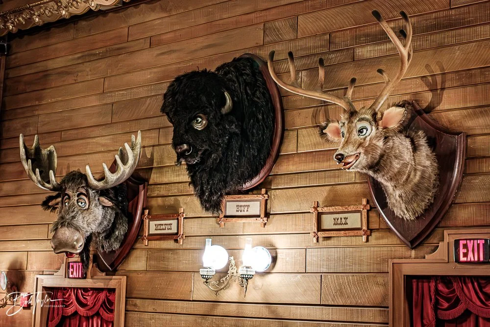 20260128-Magic Kingdom All -54.jpg