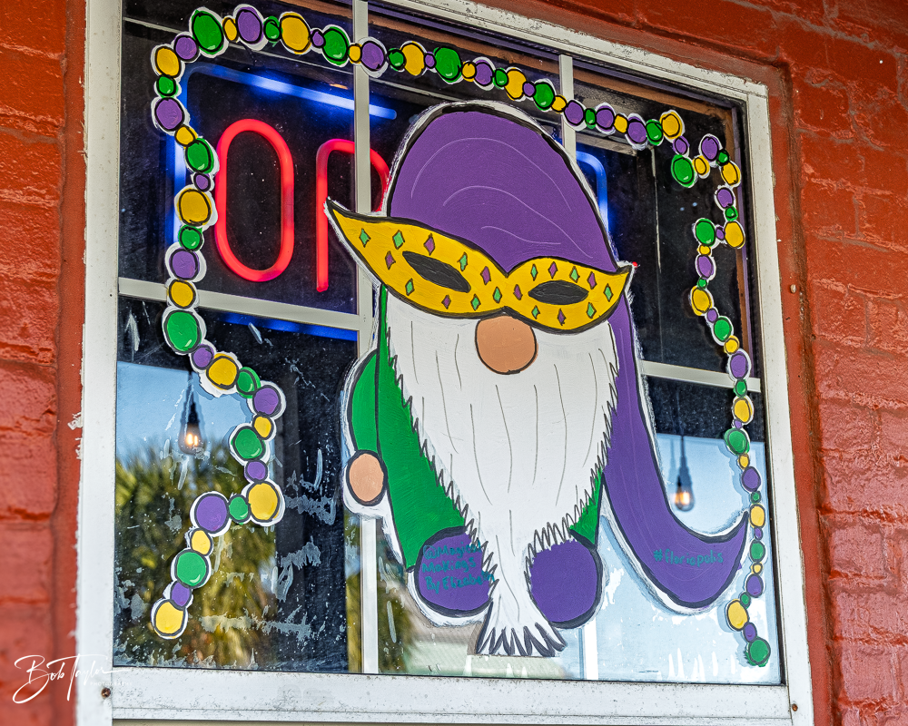 20260115-Mardi Gras Windows -105.png
