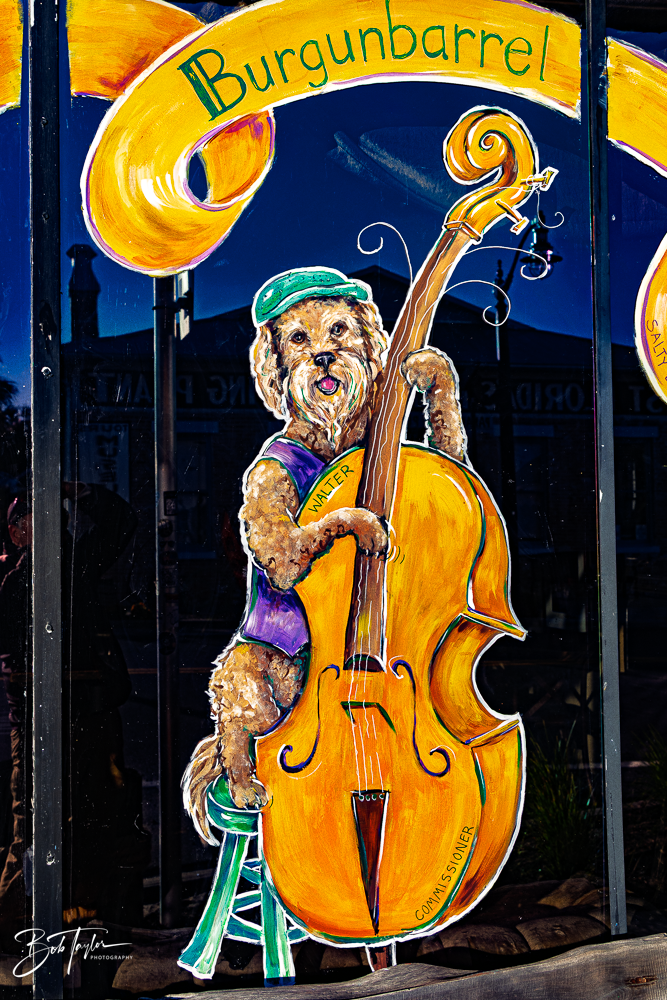20260115-Mardi Gras Windows -29.png