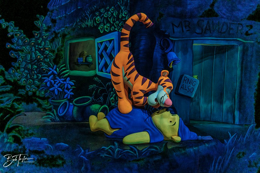 20260128-Magic Kingdom All -21.jpg