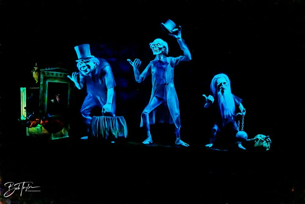 20260128-Magic Kingdom All -136.jpg