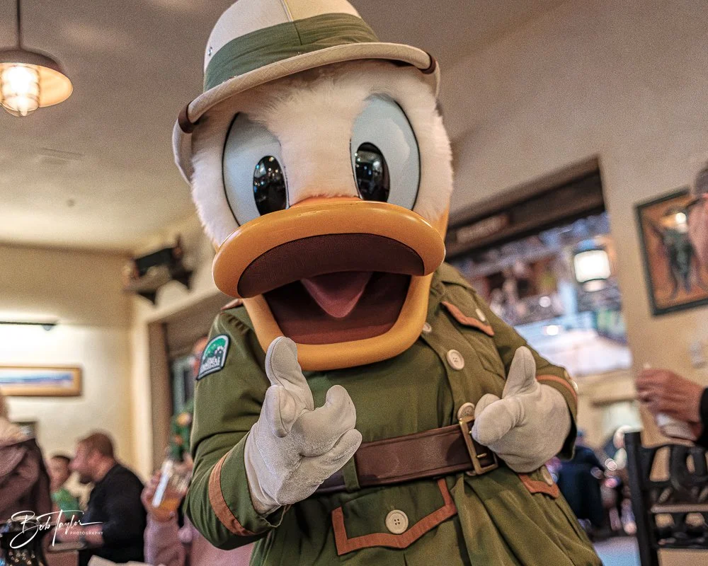 20260127-Animal Kingdom All -16.jpg