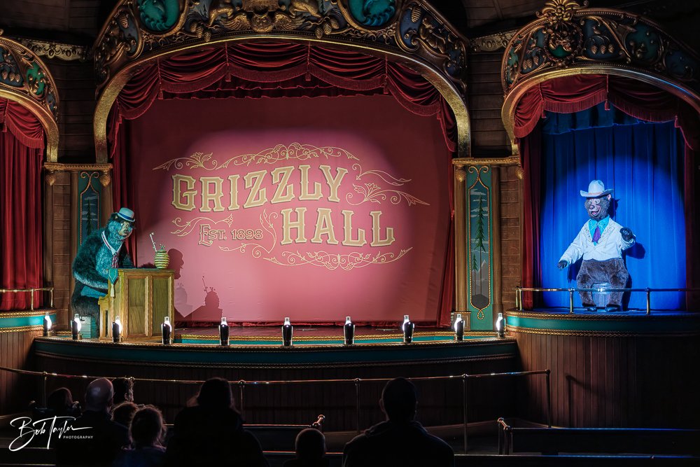 20260128-Magic Kingdom All -55.jpg