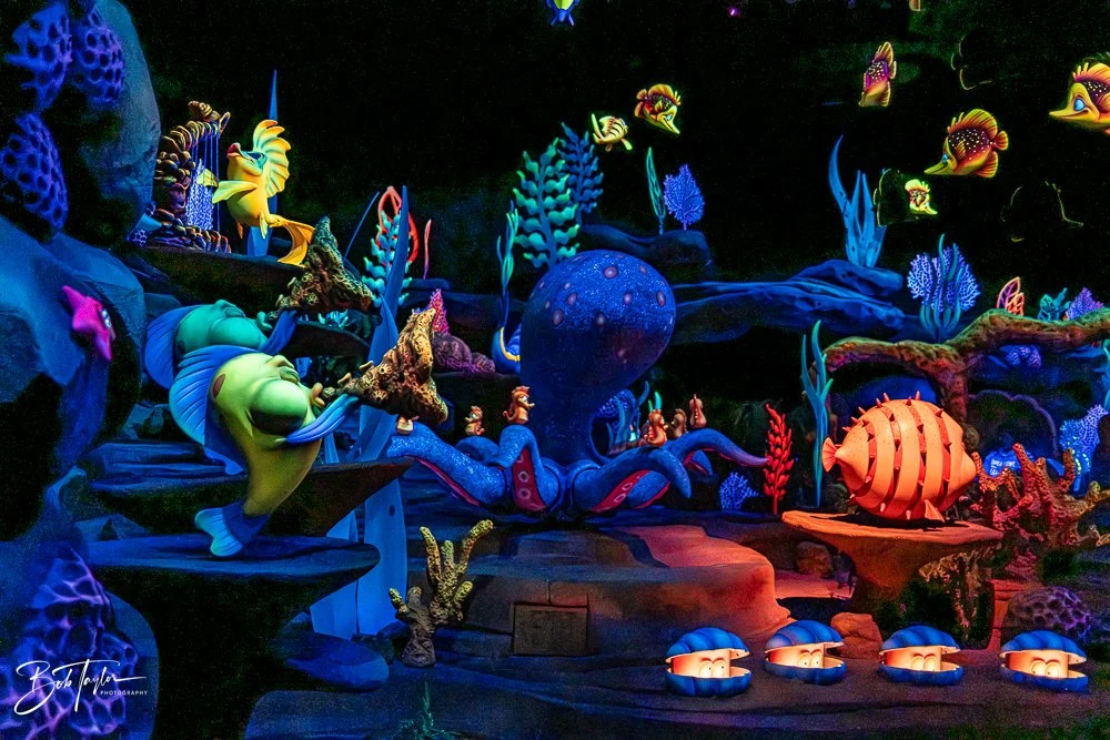 20260128-Magic Kingdom All -209.jpg