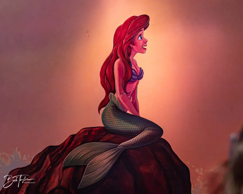 20260128-Magic Kingdom All -205.jpg