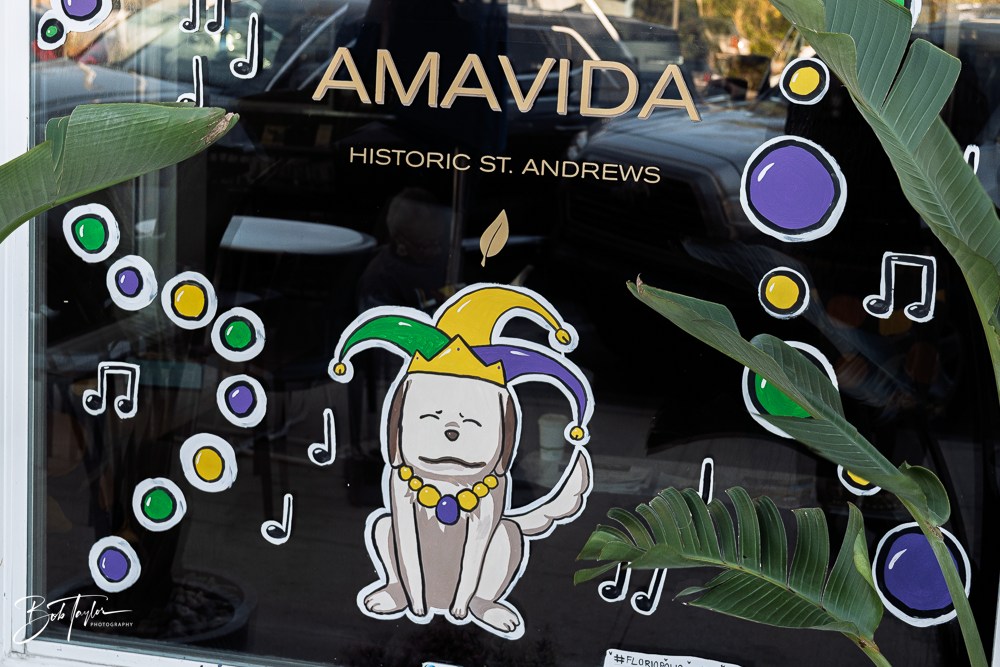 20260115-Mardi Gras Windows -78.png