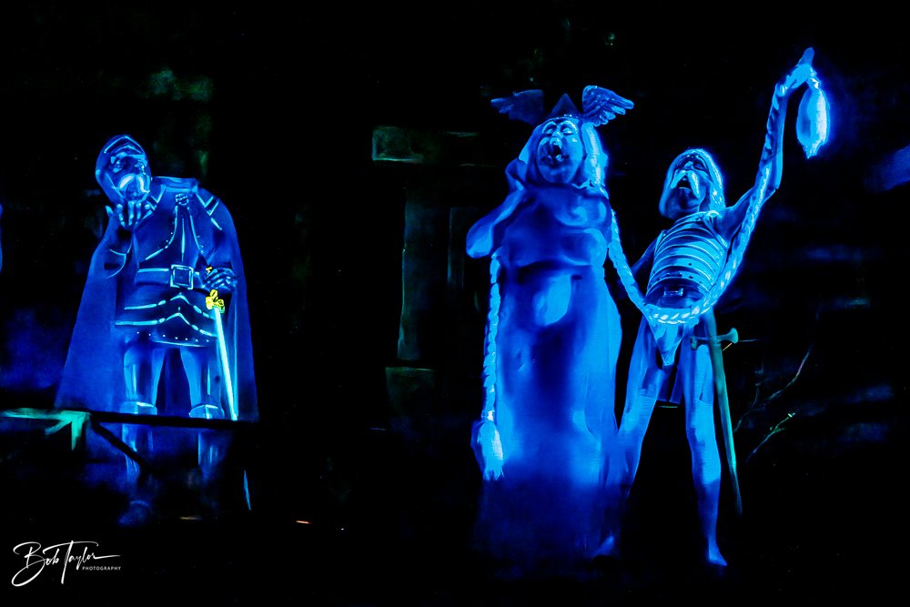 20260128-Magic Kingdom All -135.jpg