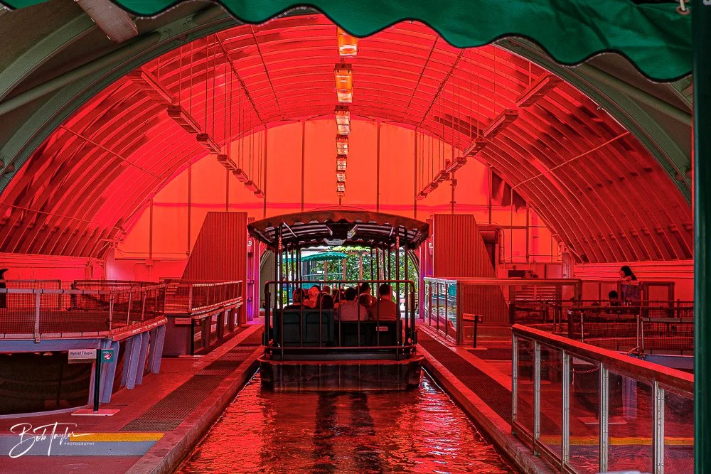 20260126-EPCOT All -39.jpg