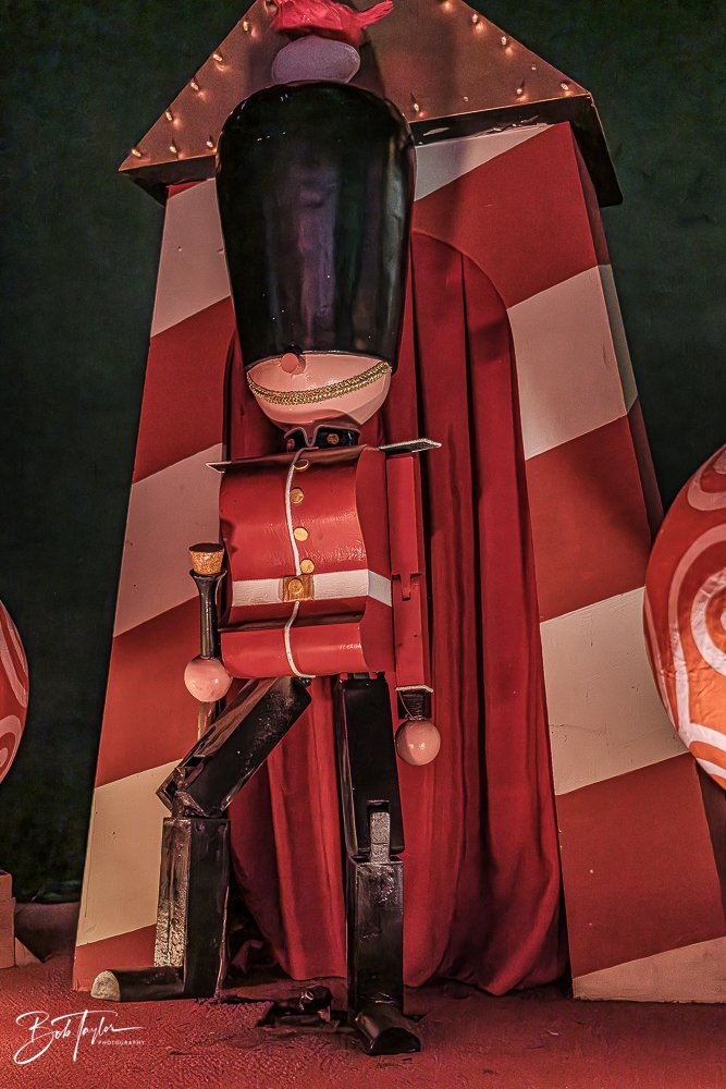 20260128-Magic Kingdom All -39.jpg