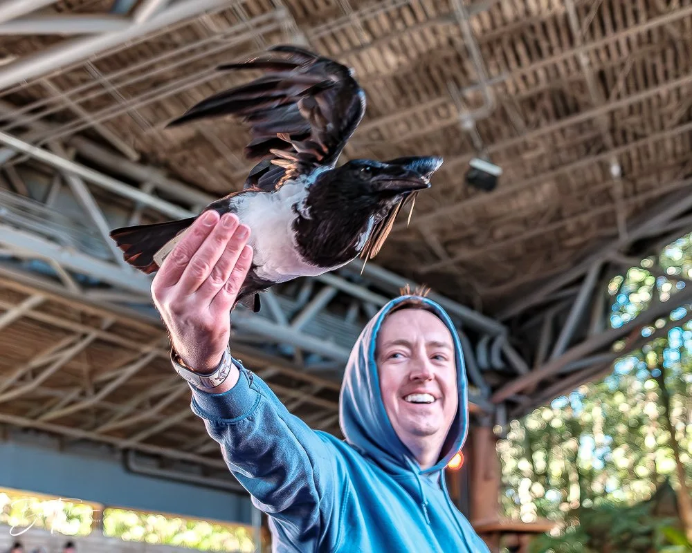 20260127-Animal Kingdom All -34.jpg