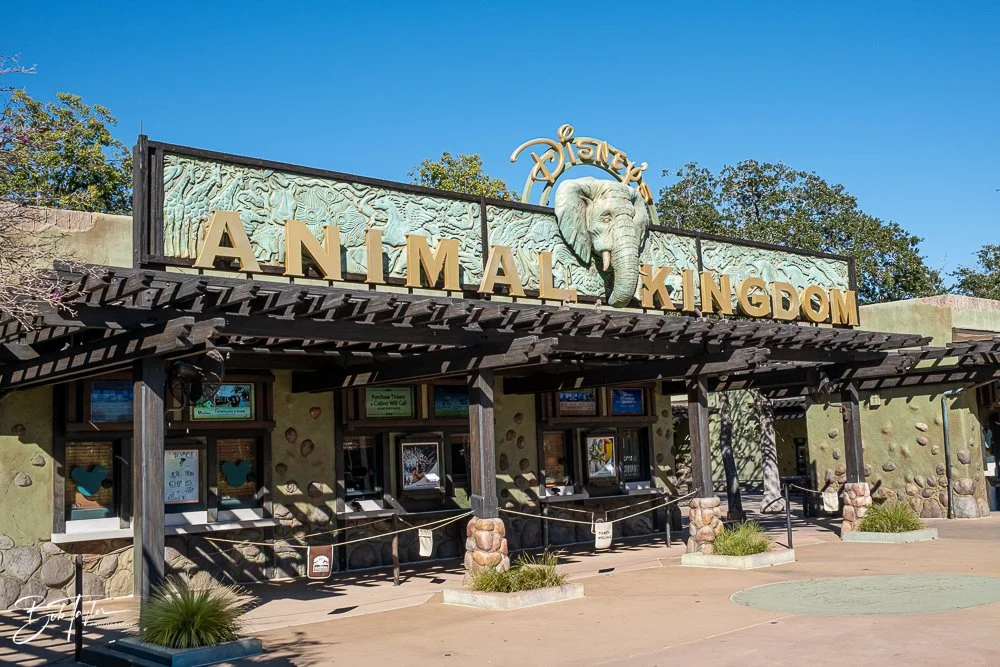 20260127-Animal Kingdom All -166.jpg
