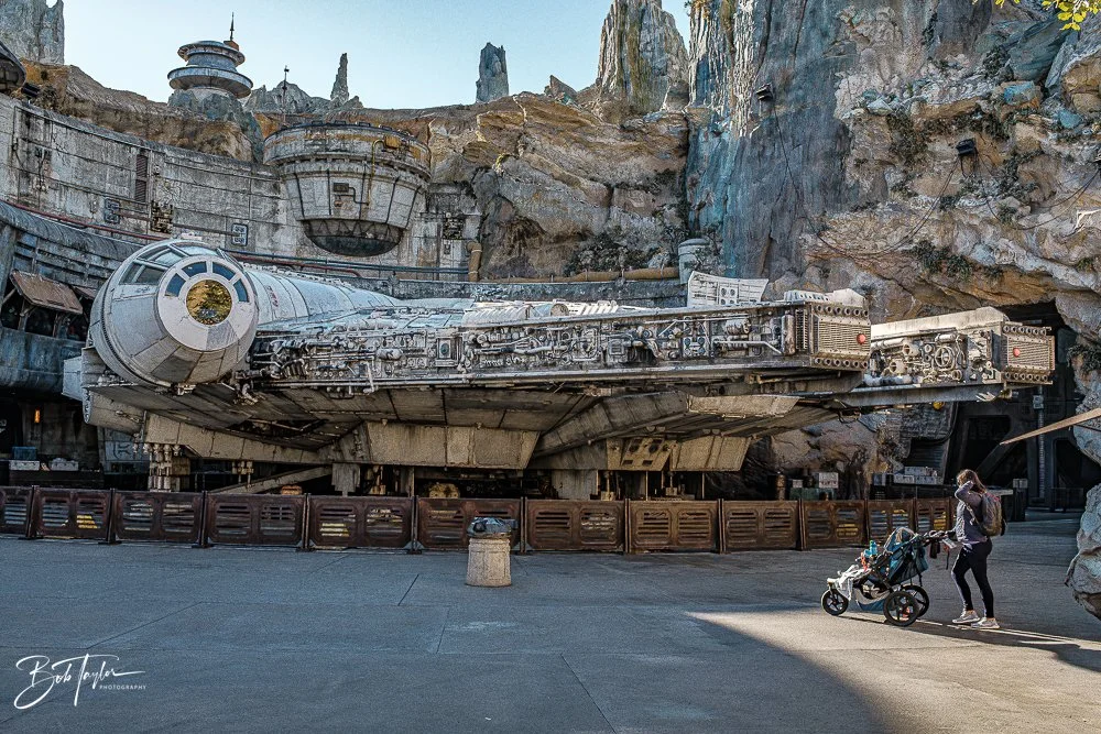 20260129-Hollywood Studios All -49.jpg