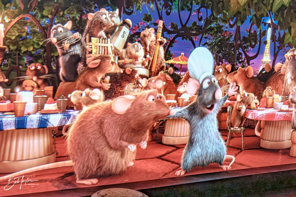 20260126-EPCOT All -116.jpg