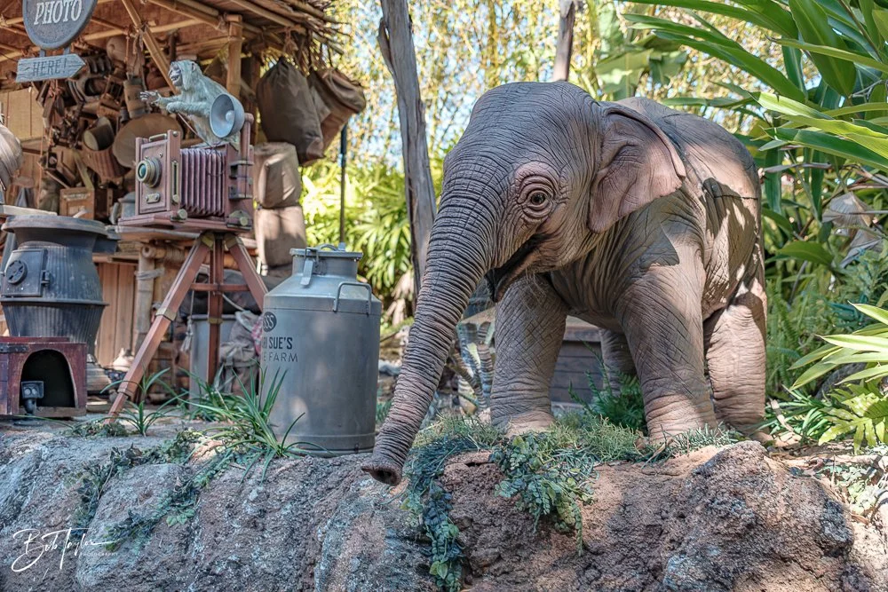 20260128-Magic Kingdom All -109.jpg