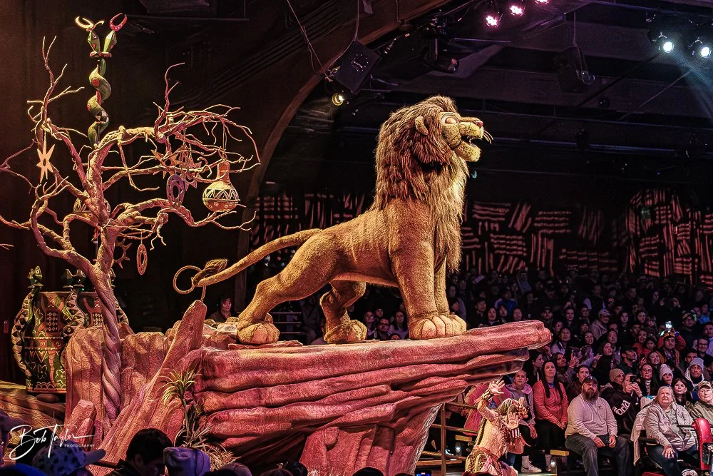 20260127-Animal Kingdom All -138.jpg